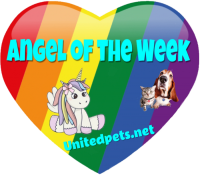 an angel of the week award
